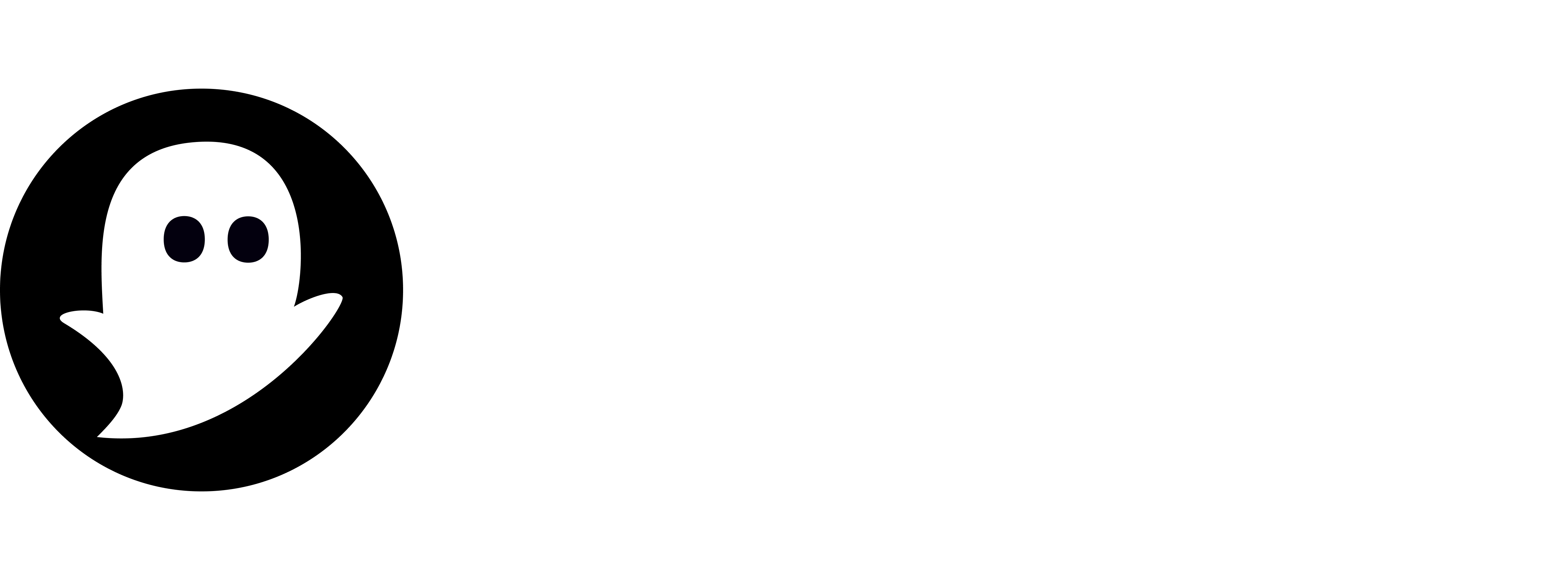 Vidgy Logo
